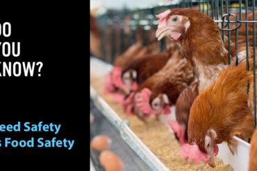 Poultry feed production facility using formaldehyde-based food intervention controls
