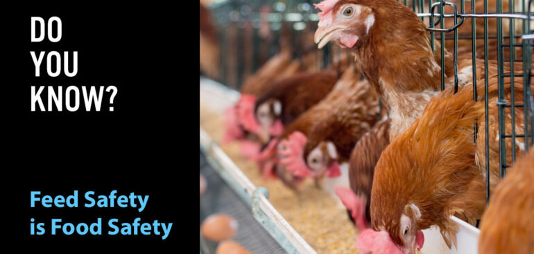 Poultry feed production facility using formaldehyde-based food intervention controls